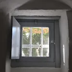 Trullo Piccola Contrada Gospodarstwo wiejskie